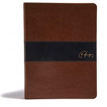 Cover art for KJV Spurgeon Study Bible, Brown/Black LeatherTouch