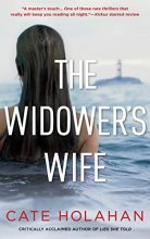 Cover art for The Widower's Wife: A Novel