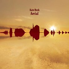 Cover art for Aerial