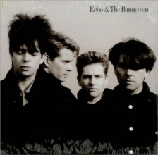 Cover art for Echo & The Bunnymen