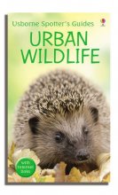 Cover art for Urban Wildlife (Usborne Spotter's Guide)