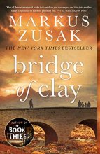 Cover art for Bridge of Clay