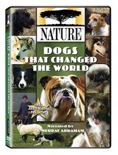 Cover art for Nature: Dogs That Changed the World