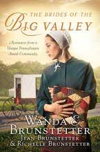 Cover art for The Brides of the Big Valley: 3 Romances from a Unique Pennsylvania Amish Community