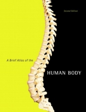 Cover art for Brief Atlas of the Human Body