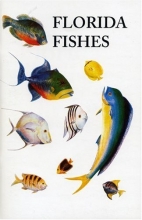Cover art for Saltwater Florida Fishes