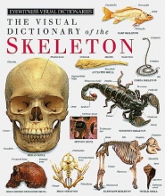 Cover art for Eyewitness Visual Dictionary of the Skeleton