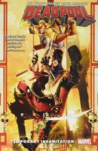 Cover art for Deadpool: World's Greatest Vol. 4: Temporary Insanitation