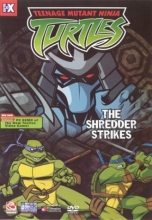 Cover art for Teenage Mutant Ninja Turtles - The Shredder Strikes 