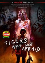 Cover art for Tigers Are Not Afraid