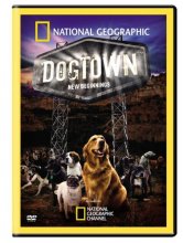 Cover art for Dogtown: New Beginnings