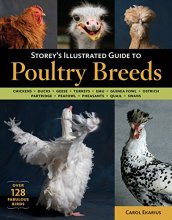 Cover art for Storey's Illustrated Guide to Poultry Breeds: Chickens, Ducks, Geese, Turkeys, Emus, Guinea Fowl, Ostriches, Partridges, Peafowl, Pheasants, Quails, Swans