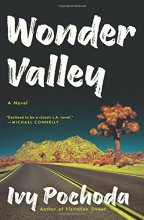 Cover art for Wonder Valley: A Novel