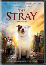 Cover art for The Stray