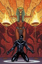 Cover art for Black Panther Book 4: Avengers of the New World Book 1