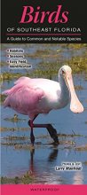 Cover art for Birds of Southeast Florida: A Guide to Common & Notable Species