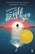 Cover art for Beyond the Bright Sea