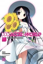 Cover art for Accel World, Vol. 3: The Twilight Marauder - light novel (Accel World, 3)