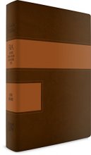 Cover art for RVA 2015 biblia letra grande imitacion piel dos tonos (Spanish Edition)
