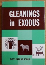 Cover art for Gleaning in Exodus
