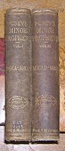 Cover art for The Minor Prophets, with a Commentary Explanatory and Practical and Introduction to the Several Books (Two Volumes)