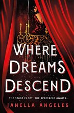 Cover art for Where Dreams Descend: A Novel (Kingdom of Cards, 1)