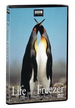 Cover art for Life in the Freezer