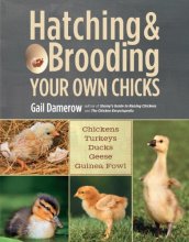 Cover art for Hatching & Brooding Your Own Chicks: Chickens, Turkeys, Ducks, Geese, Guinea Fowl