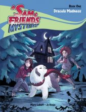 Cover art for Dracula Madness (A Sam & Friends Mystery)