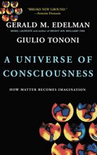 Cover art for A Universe Of Consciousness: How Matter Becomes Imagination