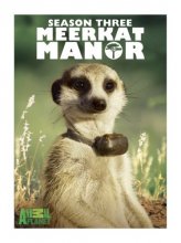 Cover art for Meerkat Manor, Season 3