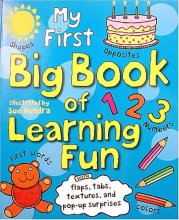 Cover art for My First Big Book of Learning Fun
