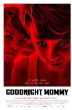 Cover art for Goodnight Mommy