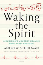 Cover art for Waking the Spirit: A Musician's Journey Healing Body, Mind, and Soul