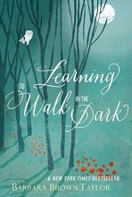 Cover art for Learning to Walk in the Dark