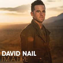 Cover art for I'm A Fire