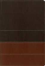 Cover art for Zondervan NIV Study Bible, Large Print