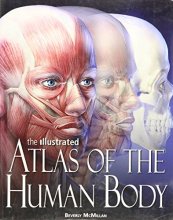 Cover art for The Illustrated Atlas of the Human Body