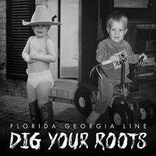 Cover art for Dig Your Roots