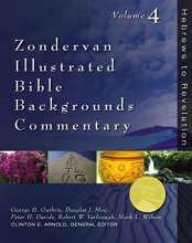 Cover art for Zondervan Illustrated Bible Backgrounds Commentary - Hebrews to Revelation Vol.4