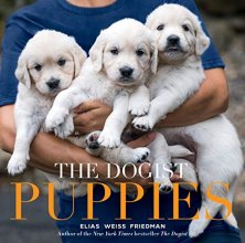 Cover art for The Dogist Puppies