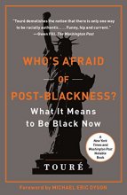 Cover art for Who's Afraid of Post-Blackness?: What It Means to Be Black Now