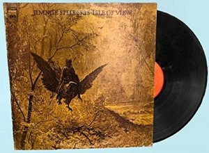 Cover art for Isle of View