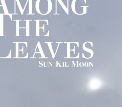 Cover art for Among The Leaves