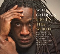 Cover art for Life in This World
