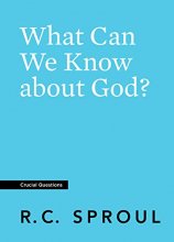 Cover art for What Can We Know about God? (Crucial Questions)