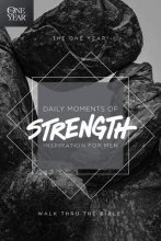 Cover art for The One Year Daily Moments of Strength: Inspiration for Men
