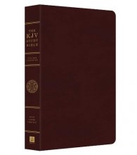 Cover art for The KJV Study Bible - Indexed (King James Bible)