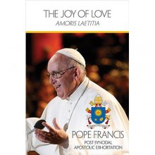 Cover art for The Joy of Love (Amoris Laetitia)