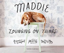 Cover art for Maddie Lounging On Things